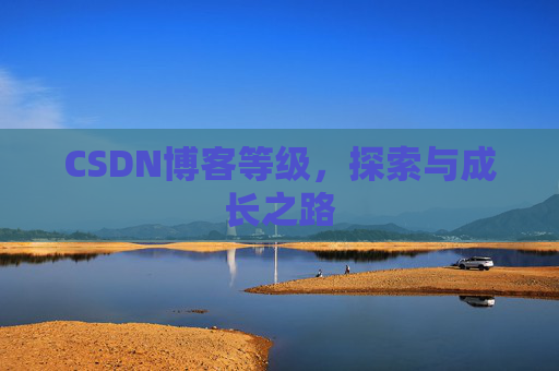 CSDN博客等级，探索与成长之路